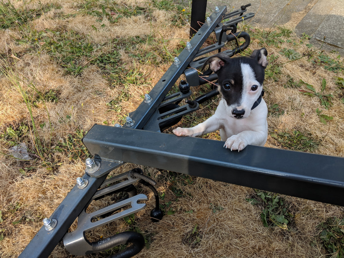 Mod Dog Running Rack Lolo Racks Assembly Build guide Official page